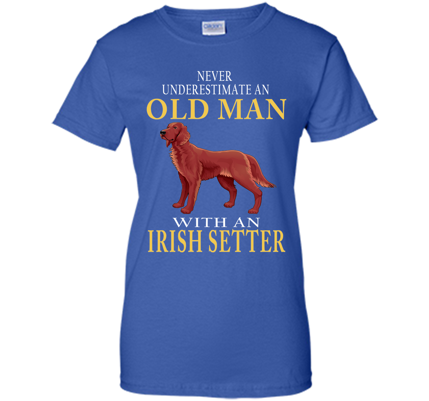 Never underestimate an old man with an irish sette T Shirt