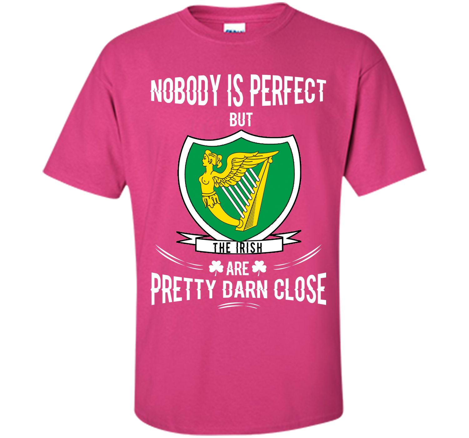 Nobody is perfect but the irish are pretty darn cl T Shirt