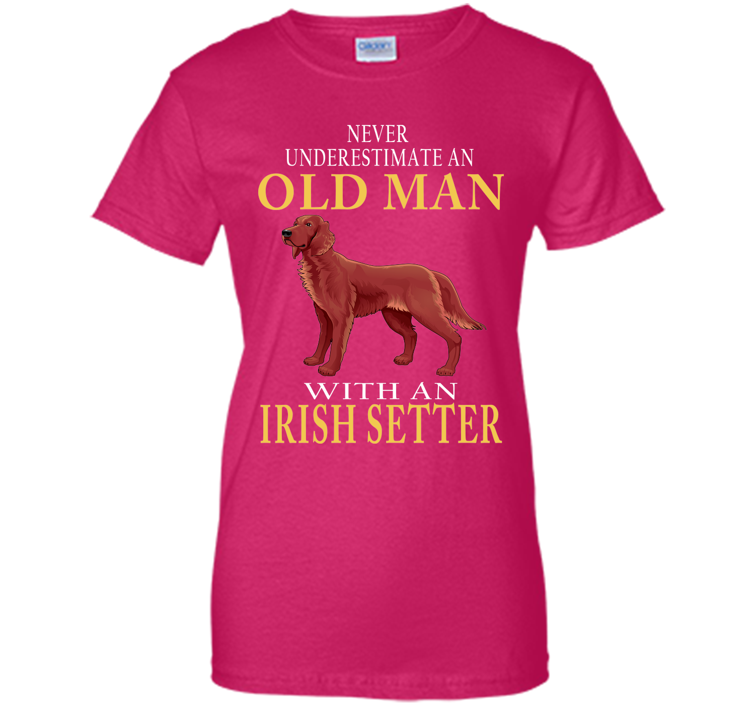 Never underestimate an old man with an irish sette T Shirt