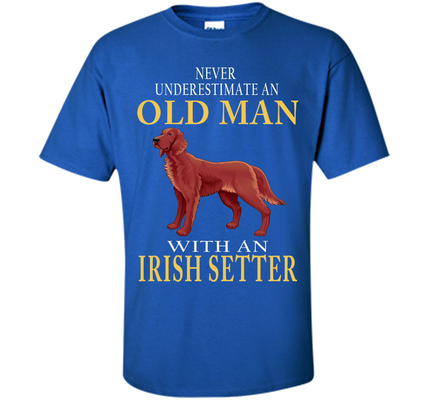 Never underestimate an old man with an irish sette T Shirt