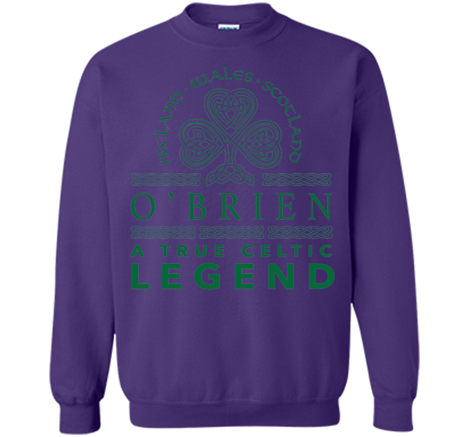 Obrien a true celtic legend T Shirt