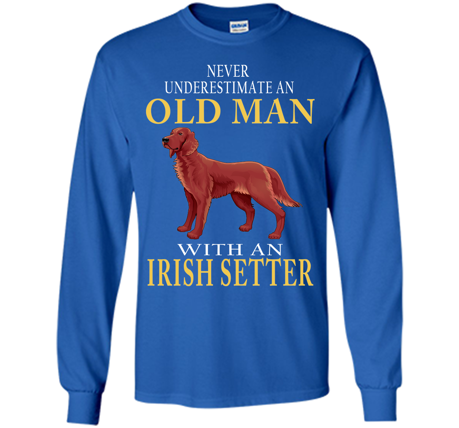 Never underestimate an old man with an irish sette T Shirt