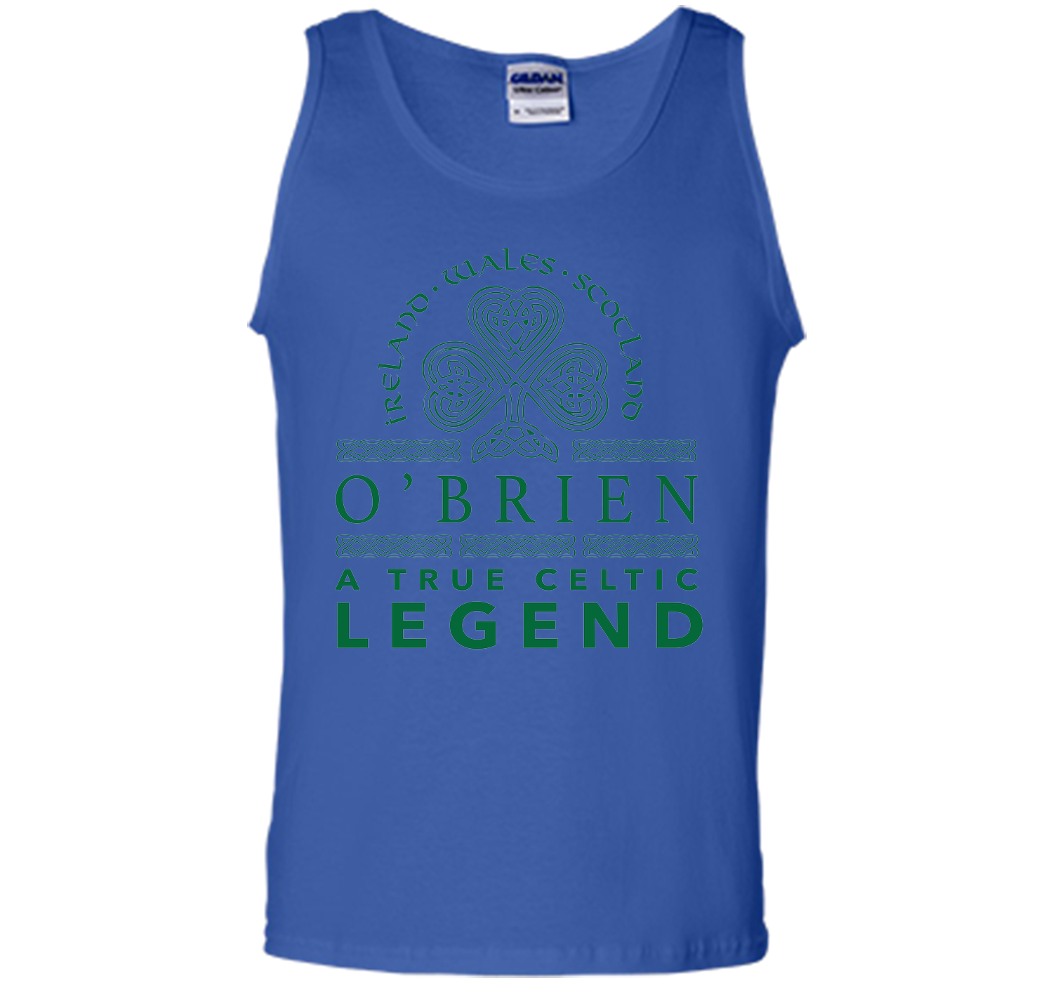 Obrien a true celtic legend T Shirt