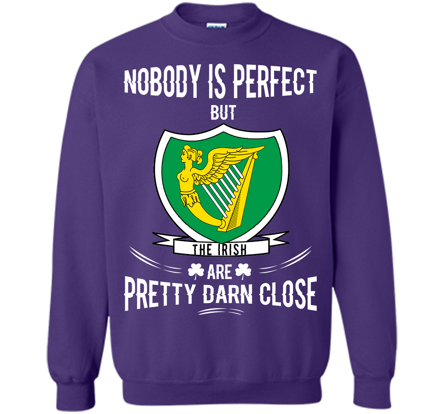 Nobody is perfect but the irish are pretty darn cl T Shirt