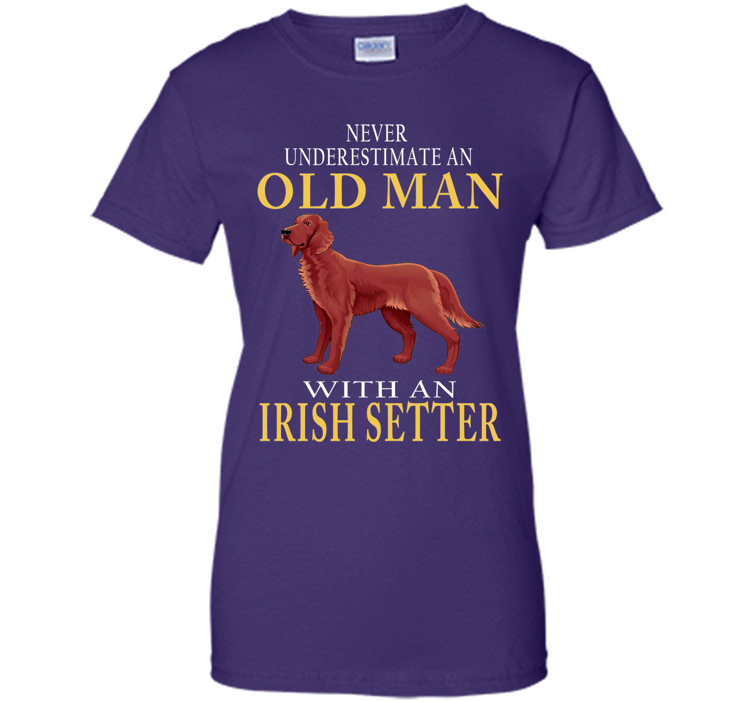 Never underestimate an old man with an irish sette T Shirt