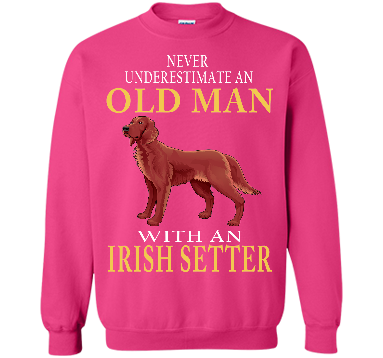 Never underestimate an old man with an irish sette T Shirt