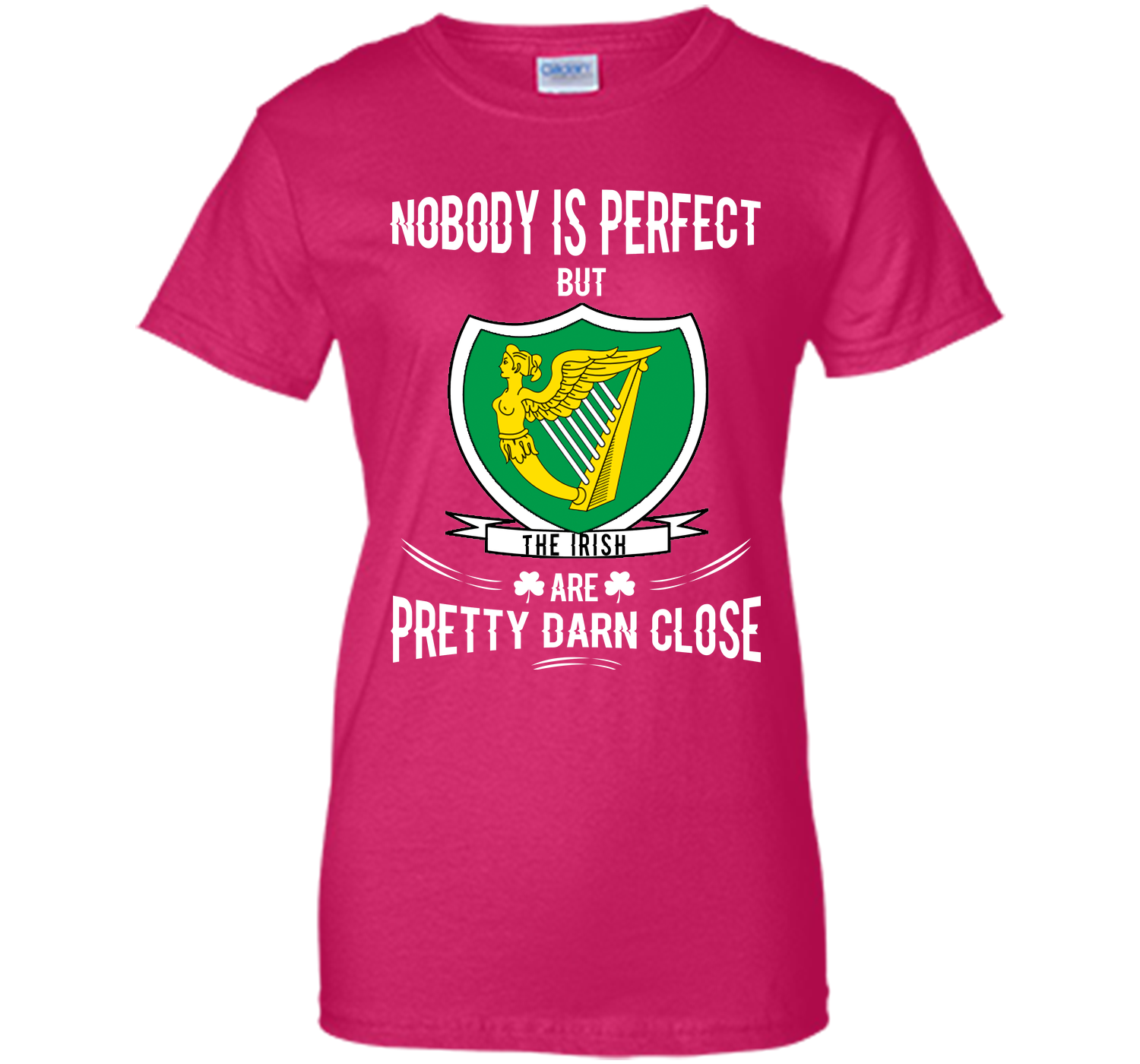 Nobody is perfect but the irish are pretty darn cl T Shirt