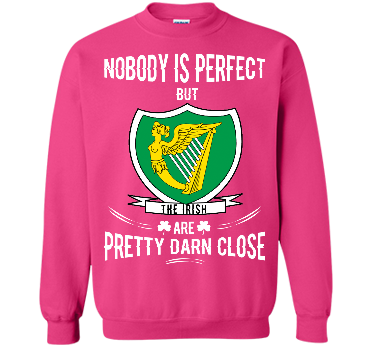 Nobody is perfect but the irish are pretty darn cl T Shirt