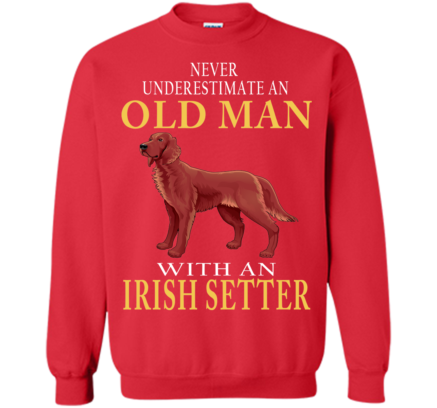 Never underestimate an old man with an irish sette T Shirt