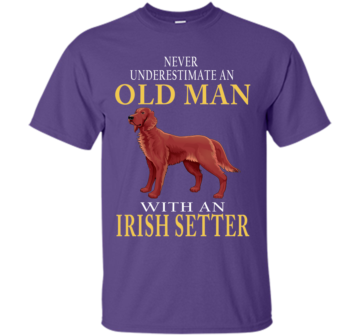 Never underestimate an old man with an irish sette T Shirt