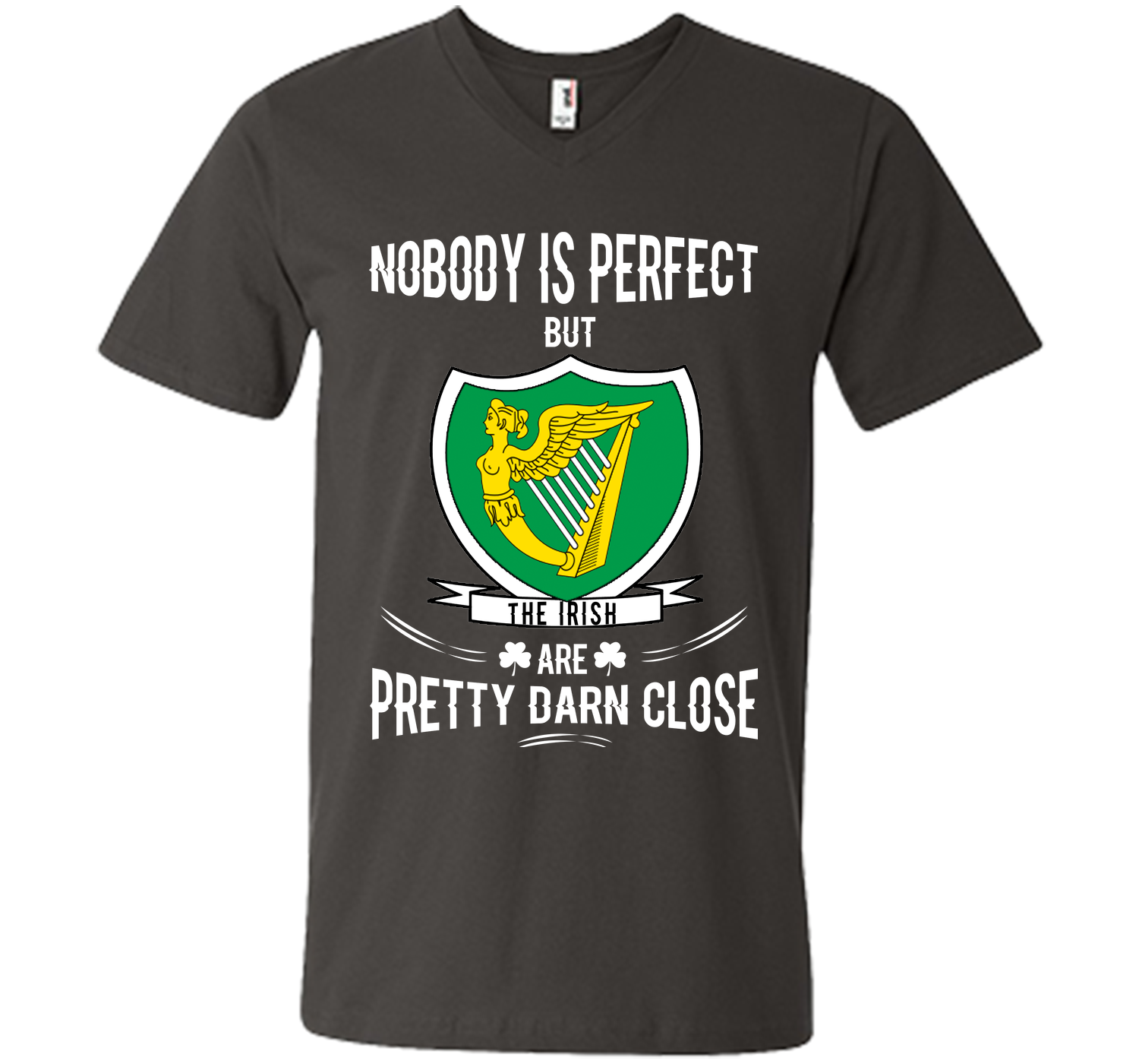 Nobody is perfect but the irish are pretty darn cl T Shirt