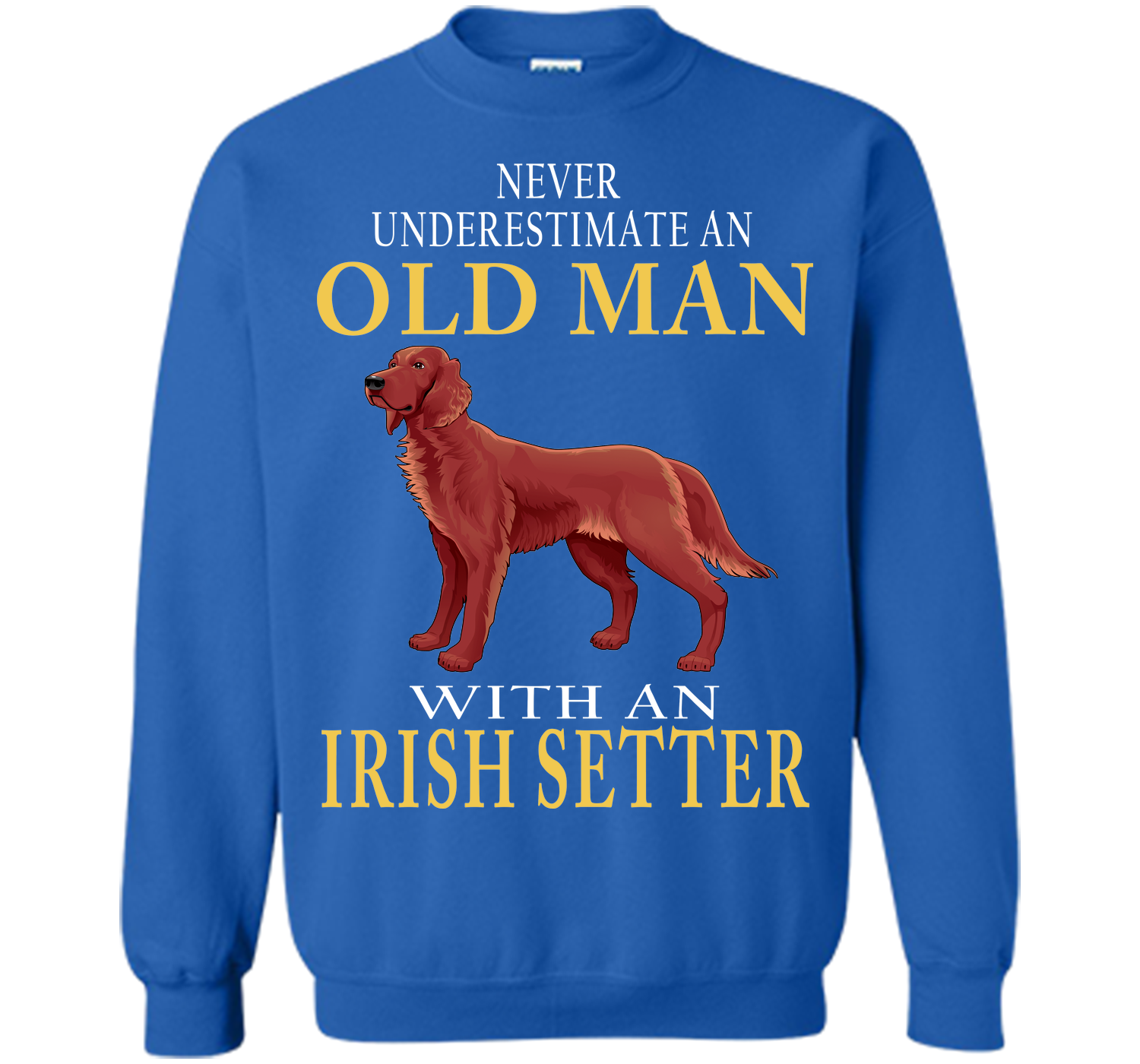 Never underestimate an old man with an irish sette T Shirt
