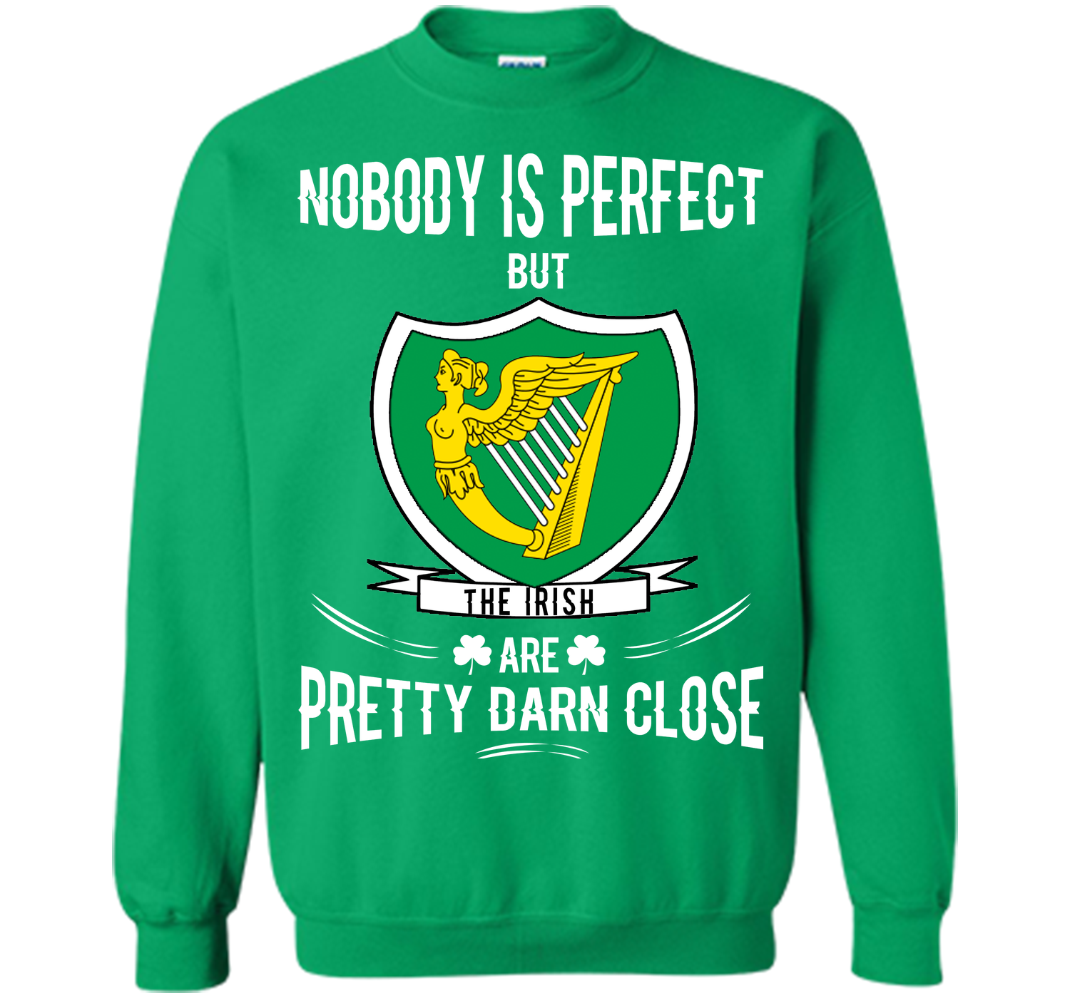 Nobody is perfect but the irish are pretty darn cl T Shirt
