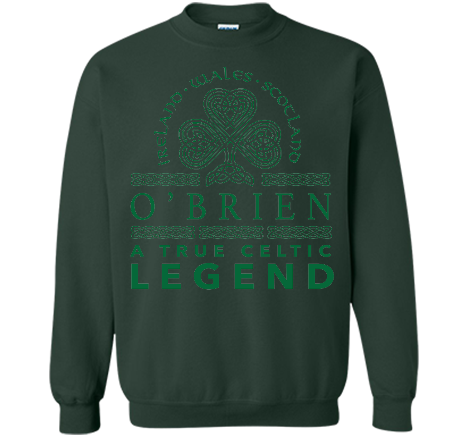 Obrien a true celtic legend T Shirt